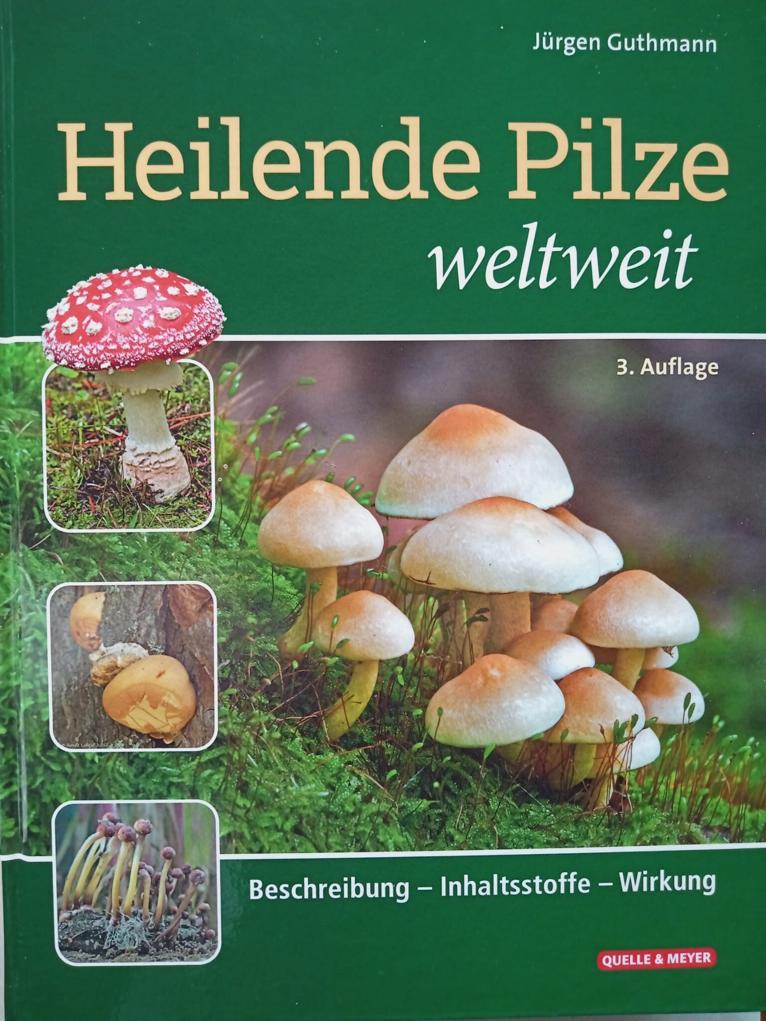 Wh f heilende Pilze 2026-01-22 at 10.52.13