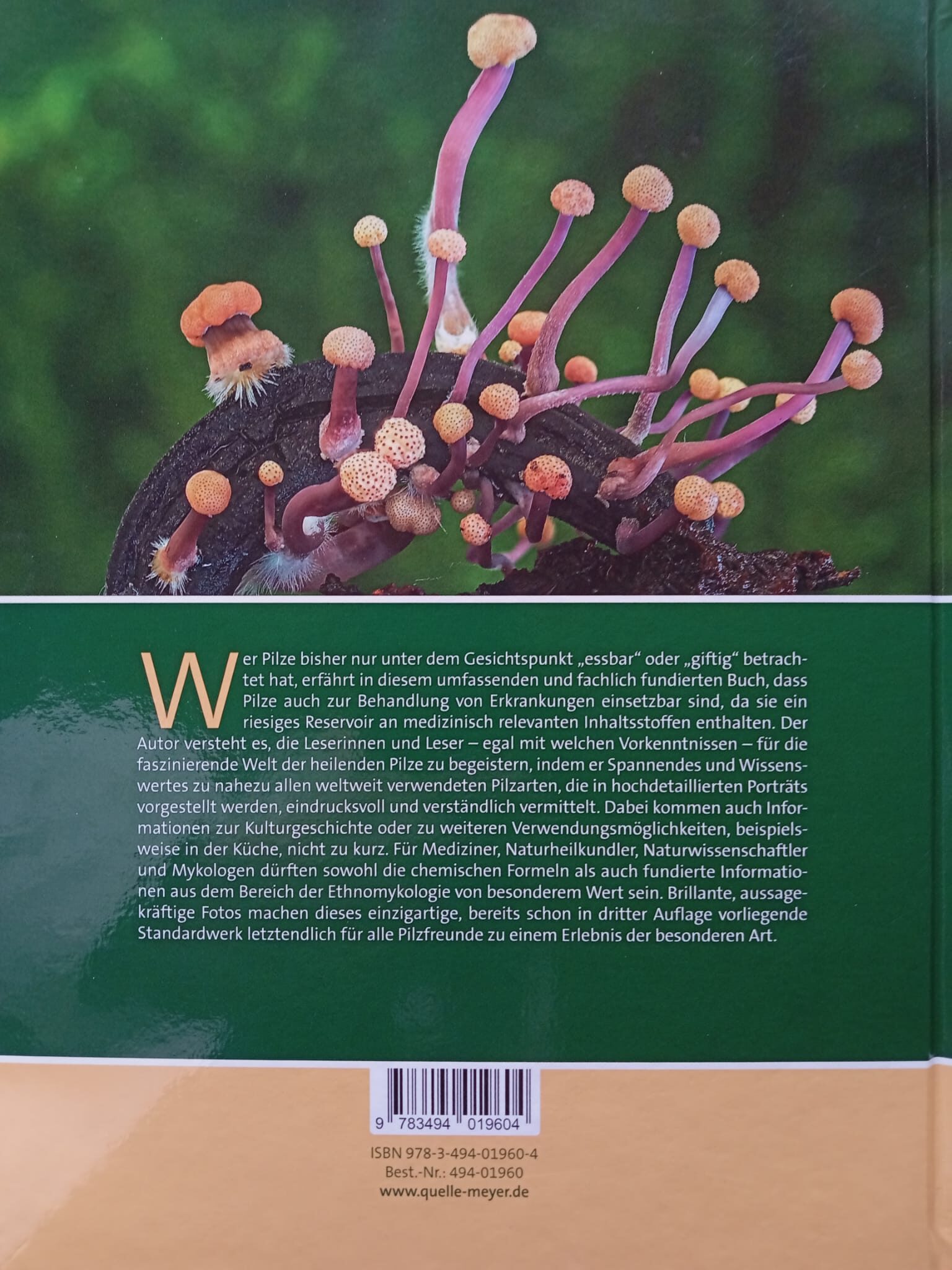 Wh r Heilende Pilze 2026-01-22 at 10.52.13